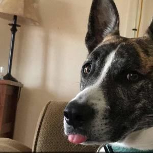 Meet your Posher, Janae